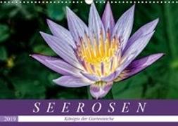 Seerosen - Königin der Gartenteiche (Wandkalender 2019 DIN A3 quer)
