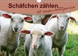 Schäfchen zählen - mit Schafen durchs Jahr (Wandkalender 2019 DIN A4 quer)