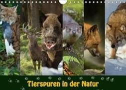 Tierspuren in der Natur (Wandkalender 2019 DIN A4 quer)