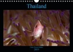 Thailand - Unter Wasser Makro (Wandkalender 2019 DIN A4 quer)