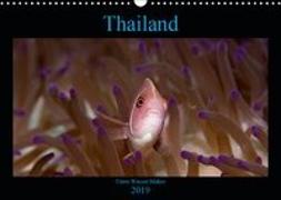 Thailand - Unter Wasser Makro (Wandkalender 2019 DIN A3 quer)
