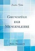 Grundzüge der Mengenlehre (Classic Reprint)