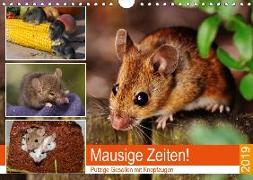 Mausige Zeiten! Putzige Gesellen mit Knopfaugen (Wandkalender 2019 DIN A4 quer)