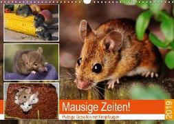 Mausige Zeiten! Putzige Gesellen mit Knopfaugen (Wandkalender 2019 DIN A3 quer)