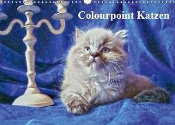 Colourpoint Katzen (Wandkalender 2019 DIN A3 quer)