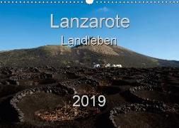 Lanzarote - Landleben (Wandkalender 2019 DIN A3 quer)