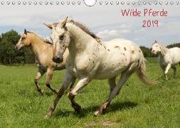 Wilde Pferde (Wandkalender 2019 DIN A4 quer)