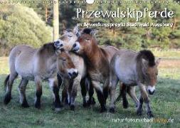 Przewalskipferde (Wandkalender 2019 DIN A3 quer)