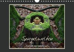 Spiegelwelten - Im Reich der Naturwesen (Wandkalender 2019 DIN A4 quer)