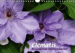 Clematis - Bezaubernde Kletterkünstler (Wandkalender 2019 DIN A4 quer)