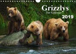 Grizzlys - Der Kalender (Wandkalender 2019 DIN A4 quer)