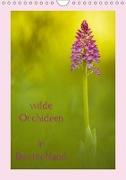 wilde Orchideen in Deutschland (Wandkalender 2019 DIN A4 hoch)