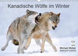 Kanadische Wölfe im Winter (Wandkalender 2019 DIN A3 quer)