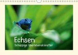 Echsen - Schuppige Überlebenskünstler (Wandkalender 2019 DIN A4 quer)