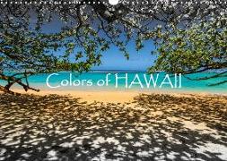 Colors of HAWAII (Wandkalender 2019 DIN A3 quer)
