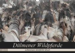 Dülmener Wildpferde - Lebensraum Meerfelder Bruch (Wandkalender 2019 DIN A3 quer)