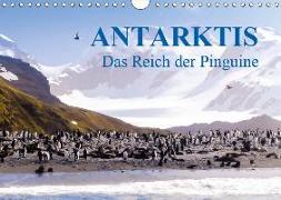 Antarktis - Das Reich der Pinguine CH-Version (Wandkalender 2019 DIN A4 quer)