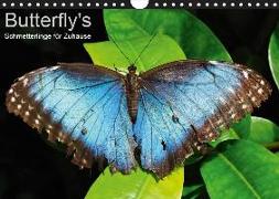 Butterfly's - Schmetterlinge für Zuhause (Wandkalender 2019 DIN A4 quer)
