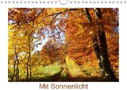 Mit Sonnenlicht (Wandkalender 2019 DIN A4 quer)