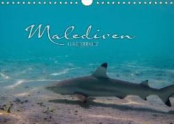 Unterwasserwelt der Malediven I (Wandkalender 2019 DIN A4 quer)