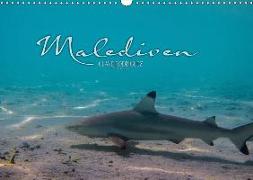 Unterwasserwelt der Malediven I (Wandkalender 2019 DIN A3 quer)