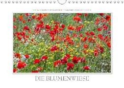 Emotionale Momente: Die Blumenwiese. (Wandkalender 2019 DIN A4 quer)