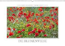Emotionale Momente: Die Blumenwiese. (Wandkalender 2019 DIN A3 quer)