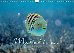 Unterwasserwelt der Malediven II (Wandkalender 2019 DIN A4 quer)