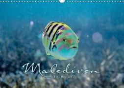 Unterwasserwelt der Malediven II (Wandkalender 2019 DIN A3 quer)