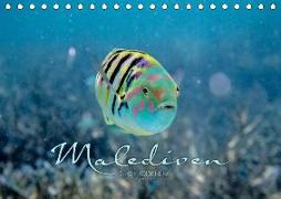 Unterwasserwelt der Malediven II (Tischkalender 2019 DIN A5 quer)