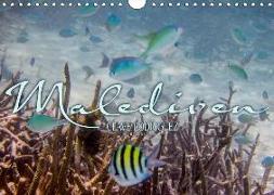 Unterwasserwelt der Malediven III (Wandkalender 2019 DIN A4 quer)