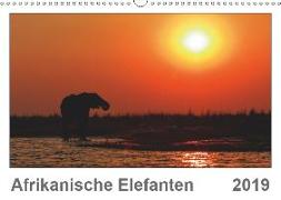 Afrikanische Elefanten (Wandkalender 2019 DIN A3 quer)