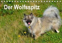 Der Wolfsspitz (Tischkalender 2019 DIN A5 quer)