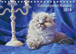Colourpoint Katzen 2019 (Tischkalender 2019 DIN A5 quer)