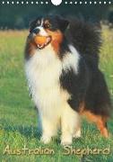 Australian Shepherd (Wandkalender 2019 DIN A4 hoch)