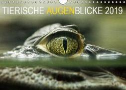 Tierische Augenblicke 2019 (Wandkalender 2019 DIN A4 quer)