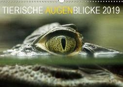 Tierische Augenblicke 2019 (Wandkalender 2019 DIN A3 quer)