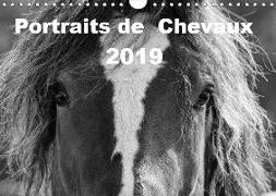 Portraits de Chevaux 2019 (Wandkalender 2019 DIN A4 quer)