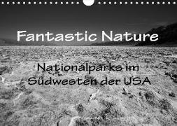 Fantastic Nature - Nationalparks im Südwesten der USA (Wandkalender 2019 DIN A4 quer)