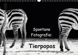 Spontane Fotografie: Tierpopos (Wandkalender 2019 DIN A3 quer)