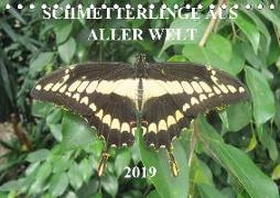 Schmetterlinge aus aller Welt (Tischkalender 2019 DIN A5 quer)