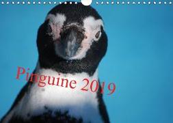 Pinguine 2019 (Wandkalender 2019 DIN A4 quer)