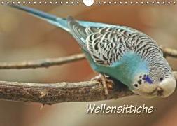 Wellensittiche (Wandkalender 2019 DIN A4 quer)