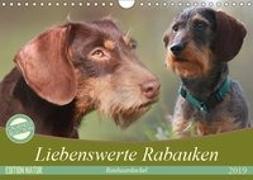 Liebenswerte Rabauken - Rauhaardackel (Wandkalender 2019 DIN A4 quer)