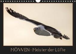 Möwen - Meister der Lüfte (Wandkalender 2019 DIN A4 quer)