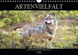 ARTENVIELFALT aus dem Bayerischen Wald (Wandkalender 2019 DIN A4 quer)