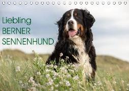 Liebling BERNER SENNENHUND (Tischkalender 2019 DIN A5 quer)