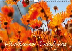 Wildblumen Südafrikas (Wandkalender 2019 DIN A4 quer)