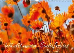 Wildblumen Südafrikas (Wandkalender 2019 DIN A3 quer)