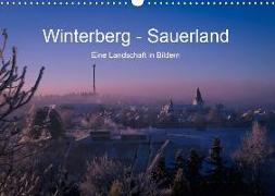 Winterberg - Sauerland - Eine Landschaft in Bildern (Wandkalender 2019 DIN A3 quer)